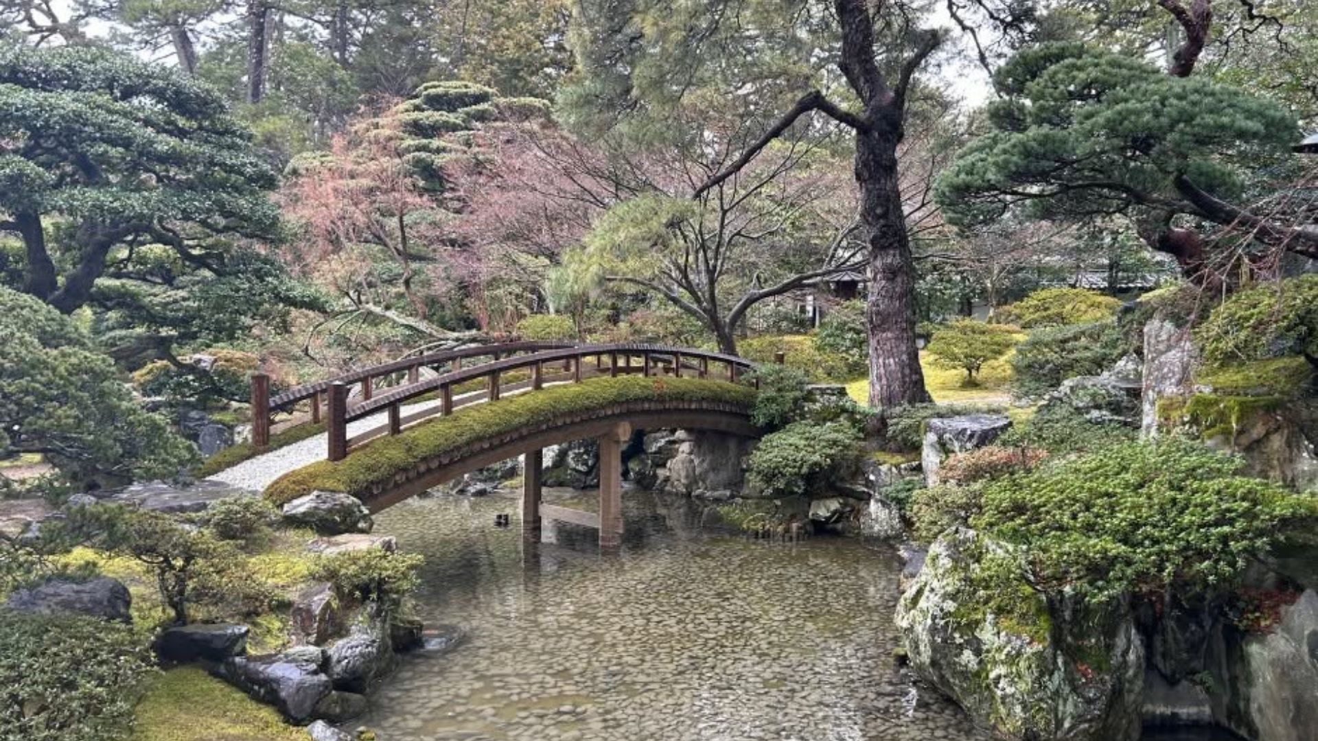 Kioto - Japonia, fot. Piotr Guzowski