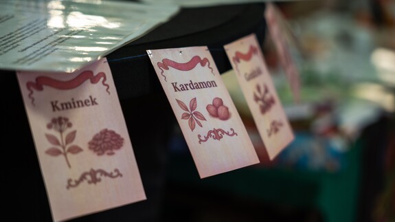 Spędź dzień w Adamczysze - fotorelacja